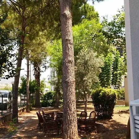 3 - Holy Art Villas Plajda Ters Dubleks X